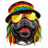 Cooler Rasta Mops bunt
