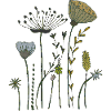 trockenblumen gewebe