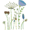 fleurs séchées prairie fleurie