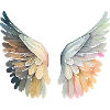Artistic pastel angel wings