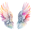 Angel s wings
