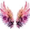 Ailes aquarelle rose et violette