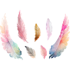 Coloured watercolour plumage