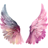 Ailes aquarelle pastel pour femme