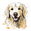 Golden Retrievers