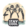 Stay Cool