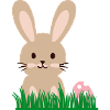 Hare