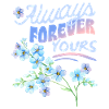 Forget-my-not, myosotis, Saint-Valentin