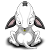 Black Ears Bullterrier