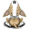 Fawn Wine Glass Bullterrier