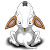 Red Eared Bullterrier