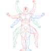 Muscles in motion