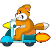 Cat Scooter