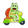 Turtle Scooter