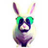 cool rabbit with sunglasses