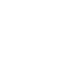 Boston Terrier