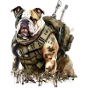 Bulldog as a soldier