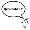 chèvre quoicoubeh !