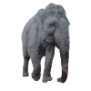 Elefant