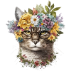 Chat cool