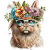 Funny Rabbit