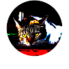 All cats are beautiful