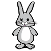Little rabbit