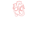 Cardiology Nurse Cardiologist