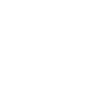 Voyager