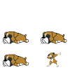 Hund Boxer