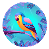 Budgerigar Bird Cockatiel Bird Propriétaire