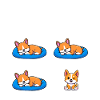 Hund Corgi