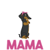 Hund Dackel Mama