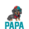 Hund Dackel Papa