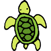 Schildkröte