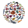 Fish Season Marine Biologist