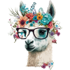 Cool llama