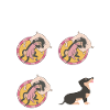 Hund Dackel