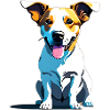 Jack Russel panting
