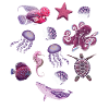 Marine animal Sea Underwater