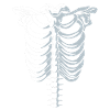 Human Skeleton Costume