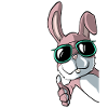 Funny bunny