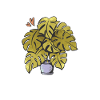 Grow wild bloom free
