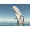 Emerging sperm whale and seagulls
