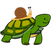 Turtle Snail NOT SO FAST
