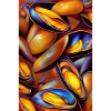 Mussels