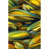 Moules