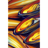 Mussels