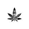 Hanf-Blatt