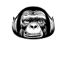 Singe de l’espace